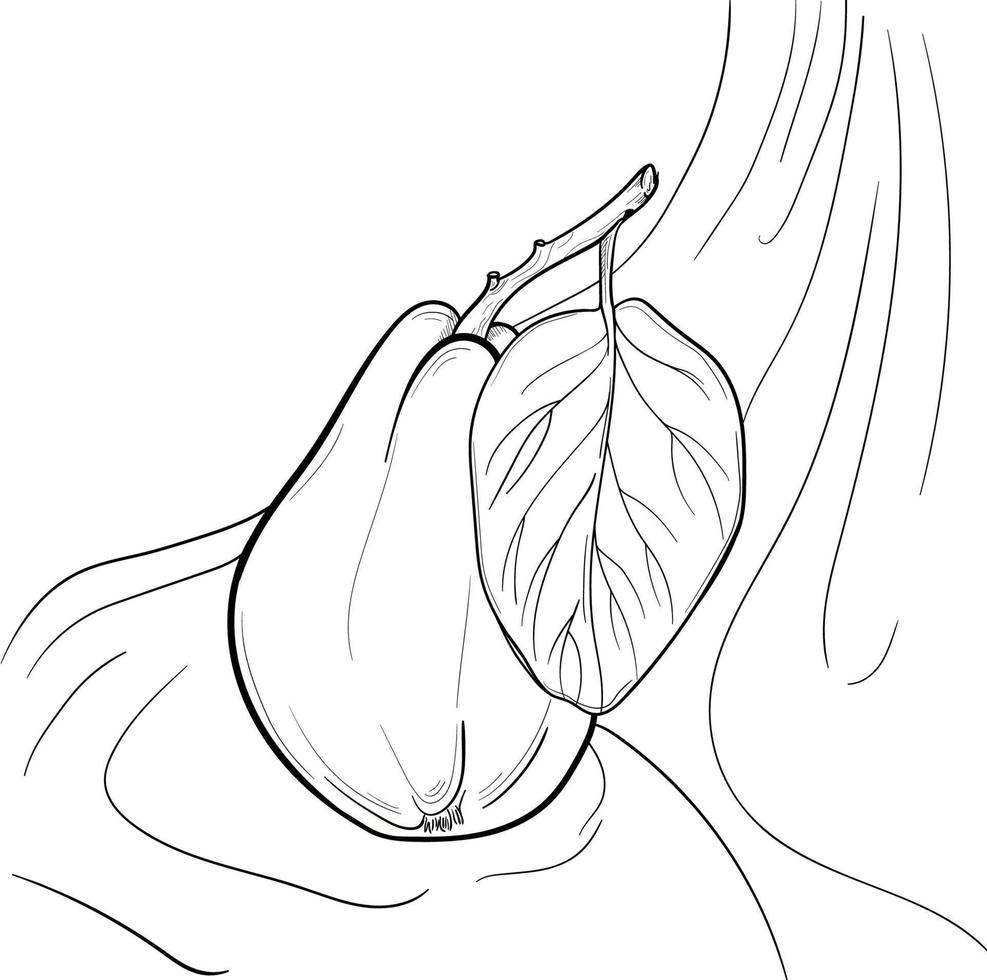 Outline pear, food still life composition with drapery vector