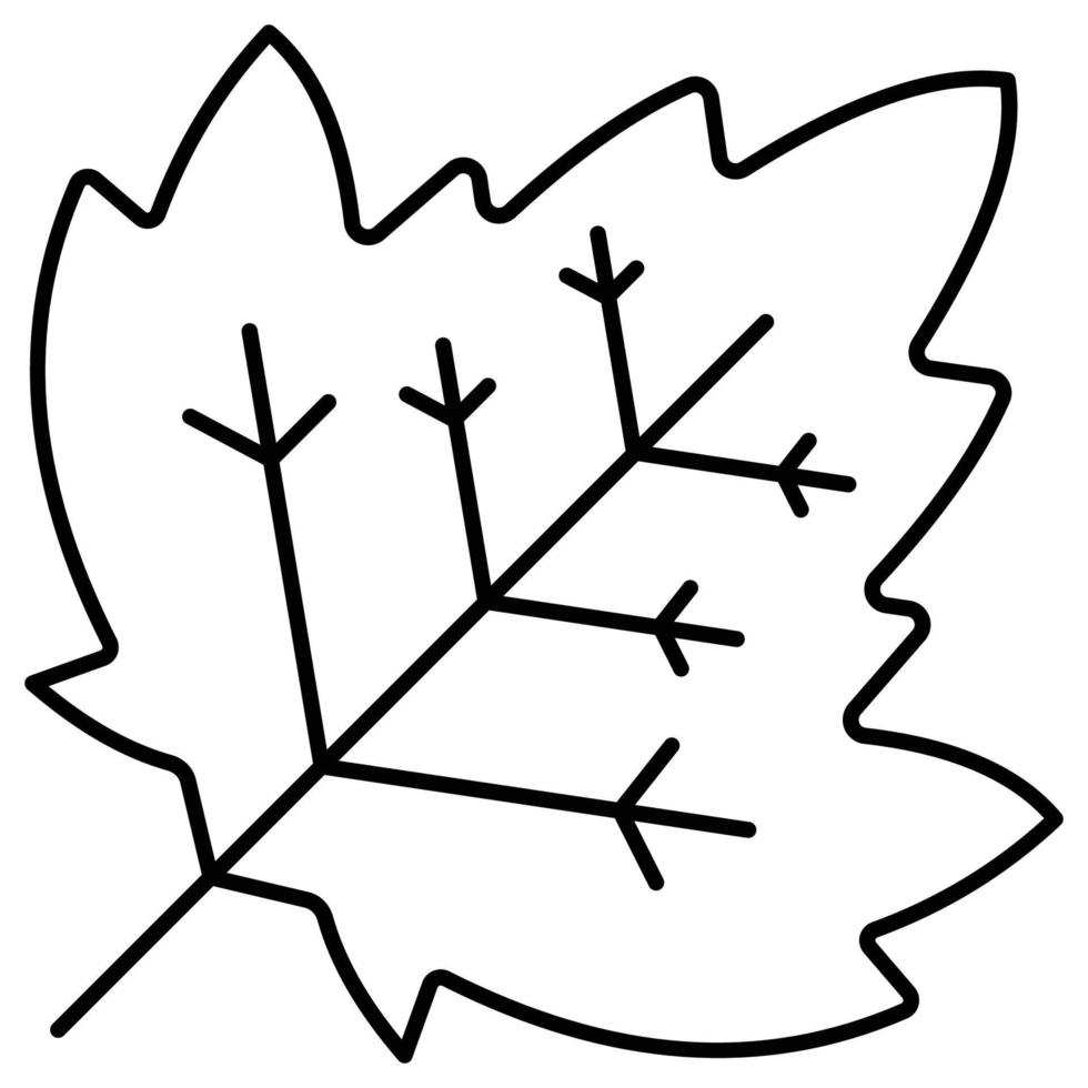 Maple Leaf which can easily modify or edit vector