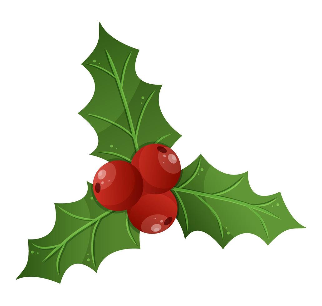 Vector realistic holly Christmas ornament. Green leaves and red berries isolated on white background