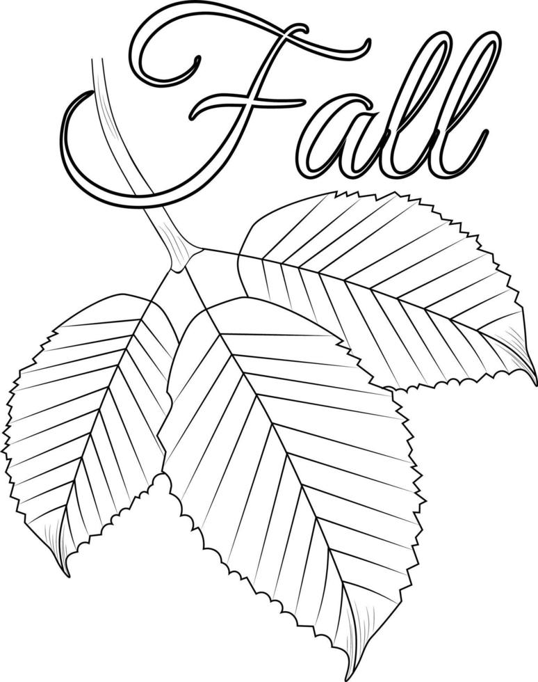 Hello, September autumn fall vector art hand-drawn illustration, natural leaf collection, pencil sketch coloring book, and page.