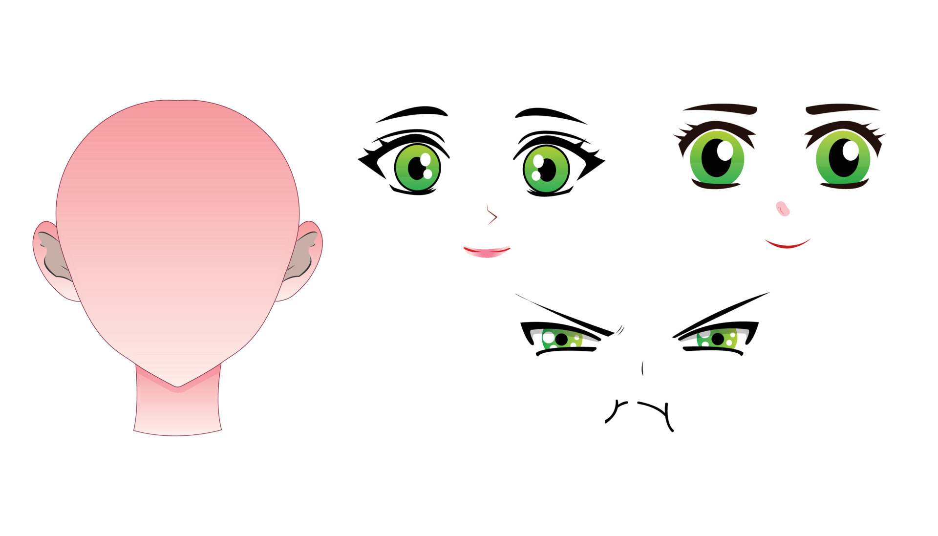 Anime Head Base Drawing