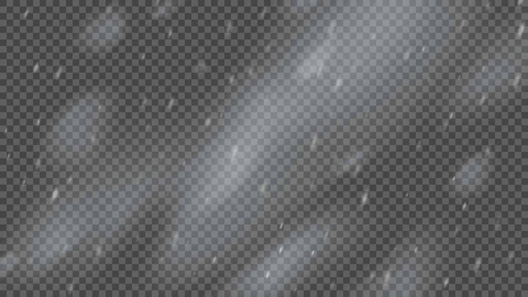 Snowstorm and falling snowflakes vector