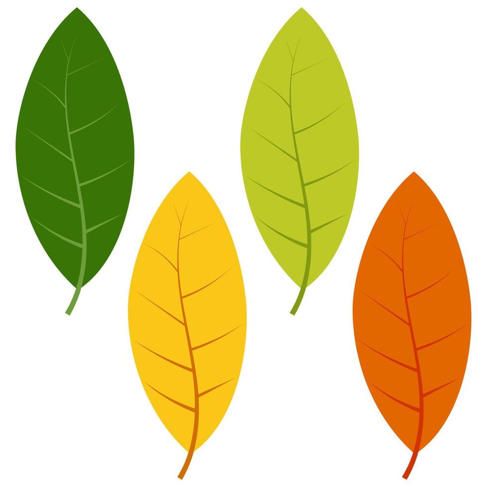 Set of green, yellow and red leaves isolated on white background. Vector illustration of autumn leaves.