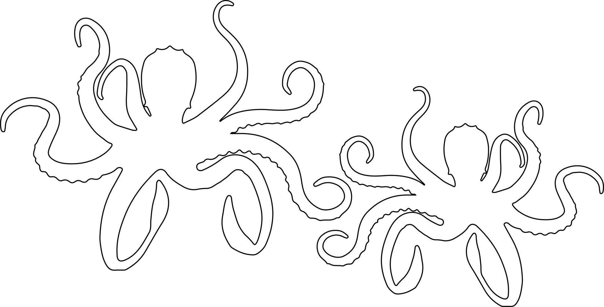 Octopus line art vector for websites, graphics related artwork