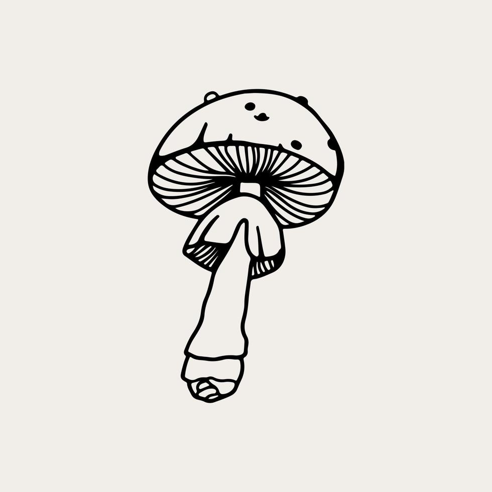 Vector line art magical mushrooms. black line vector art.