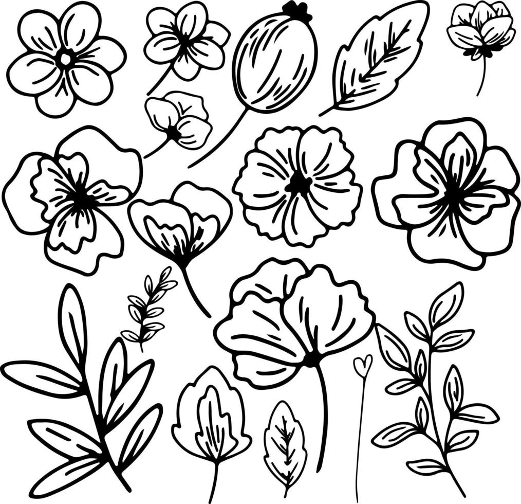 Flowers doodles drawing vector design outline artwork