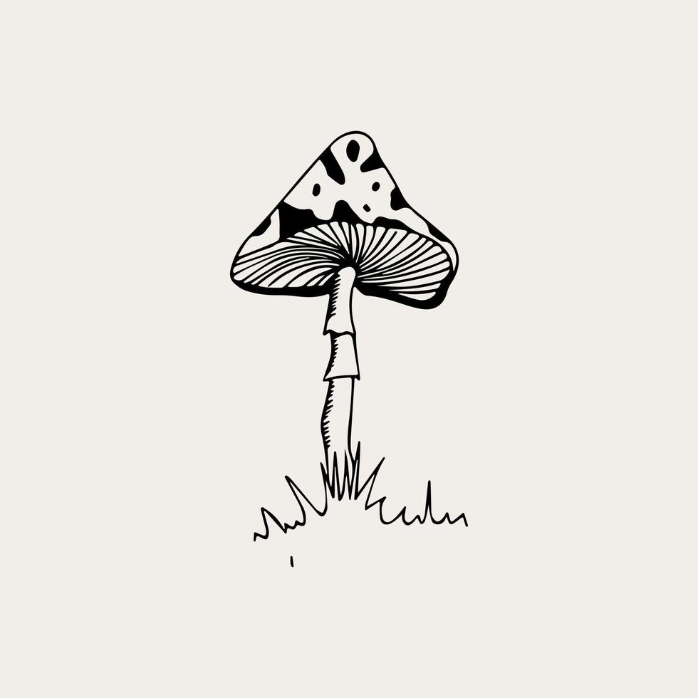 Vector line art magical mushrooms. black line vector art.
