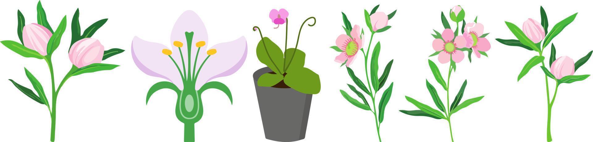 hermosas flores multicolores y borde de hojas. ilustración de vector plano botánico de primavera sobre fondo blanco