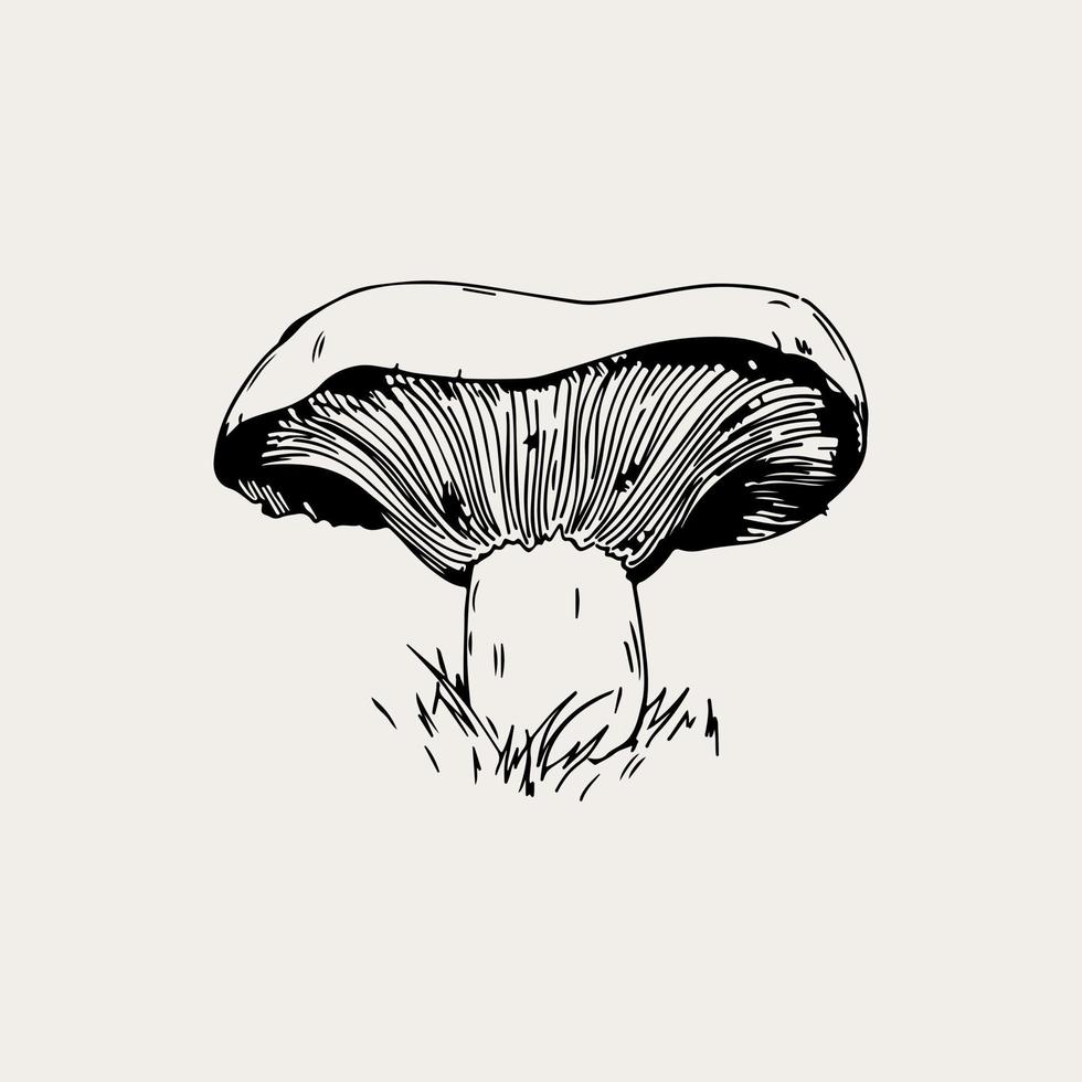 Vector line art magical mushrooms. black line vector art.