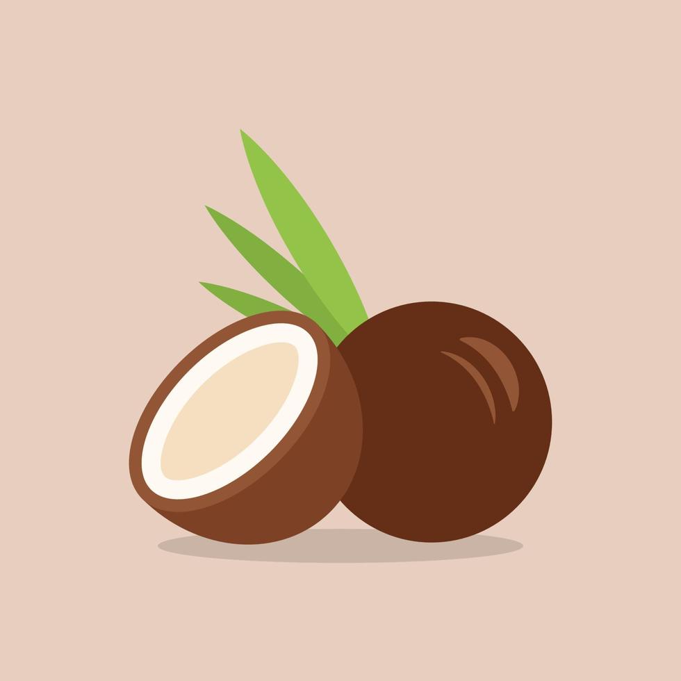 Coconut icon in flat style vector