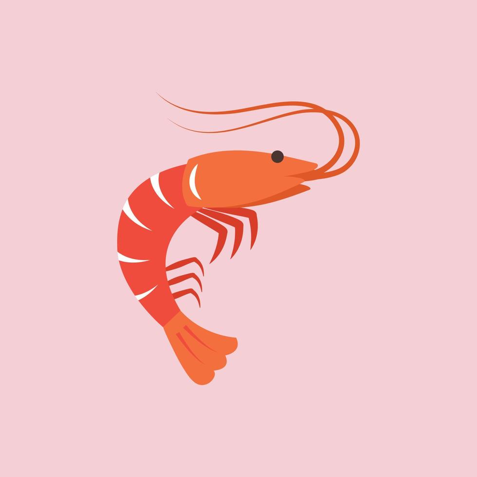 Shrimp in flat style vector