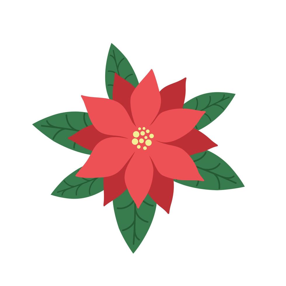 Poinsettia. Christmas Star. Icon flower. Vector illustration on a white background. Flat cartoon style.