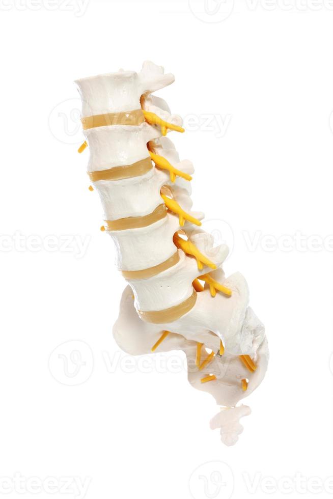 Spine mock-up on white background photo