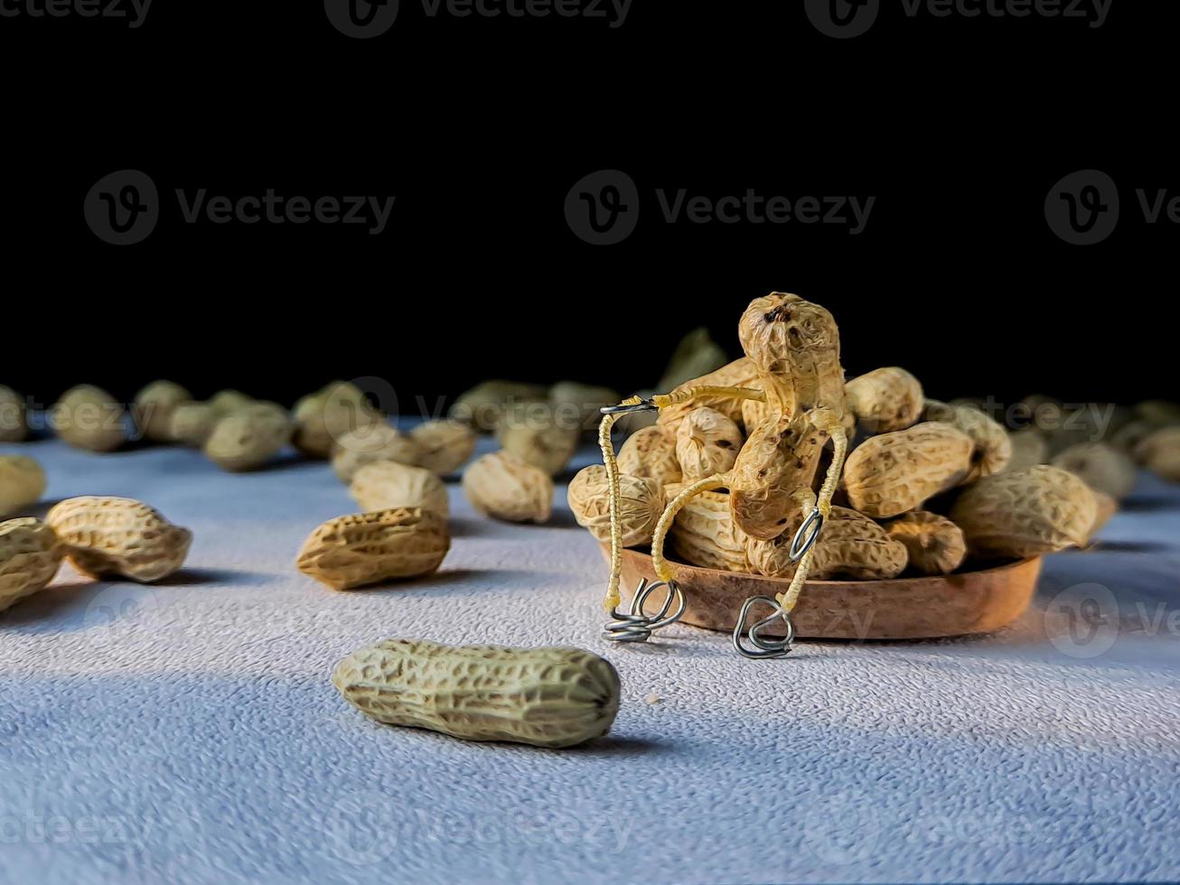 open peanuts shot macro in the studio, concept of a peanut scarecrow on the move photo