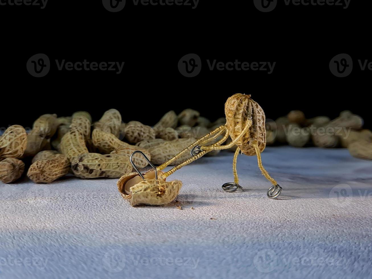 open peanuts shot macro in the studio, concept of a peanut scarecrow on the move photo