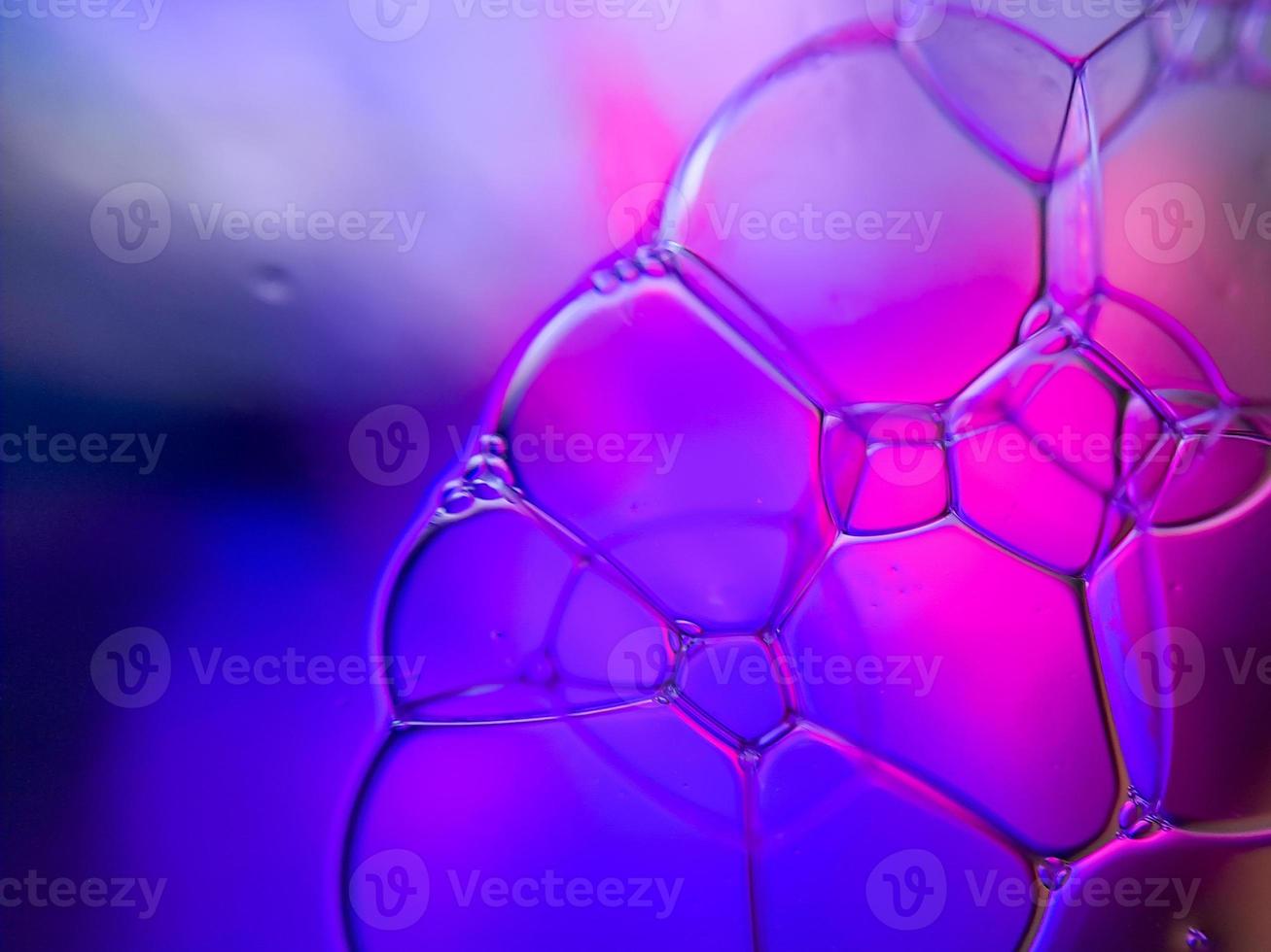 macro colorful soap bubbles gradient abstract background blue pink photo