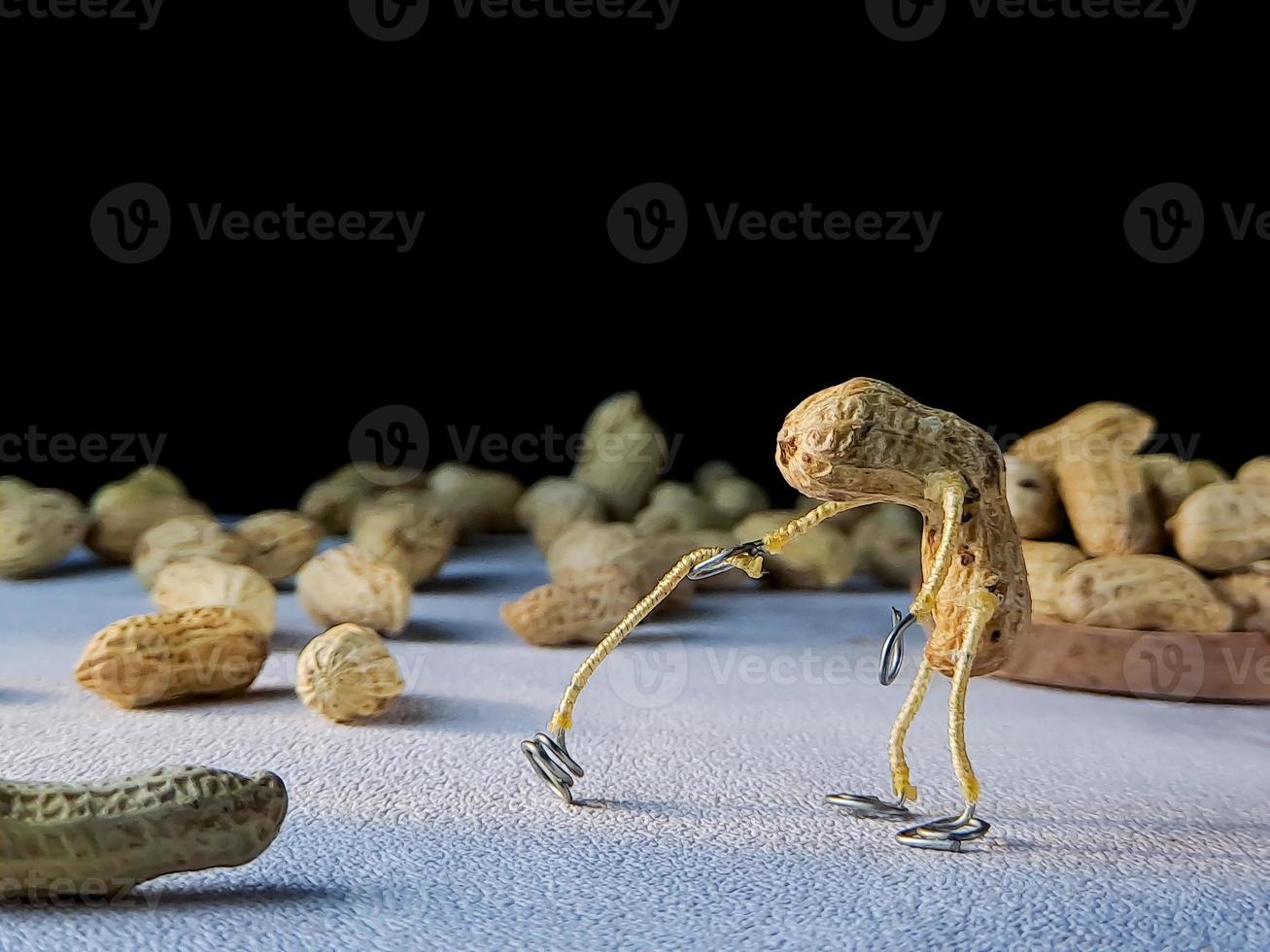 open peanuts shot macro in the studio, concept of a peanut scarecrow on the move photo