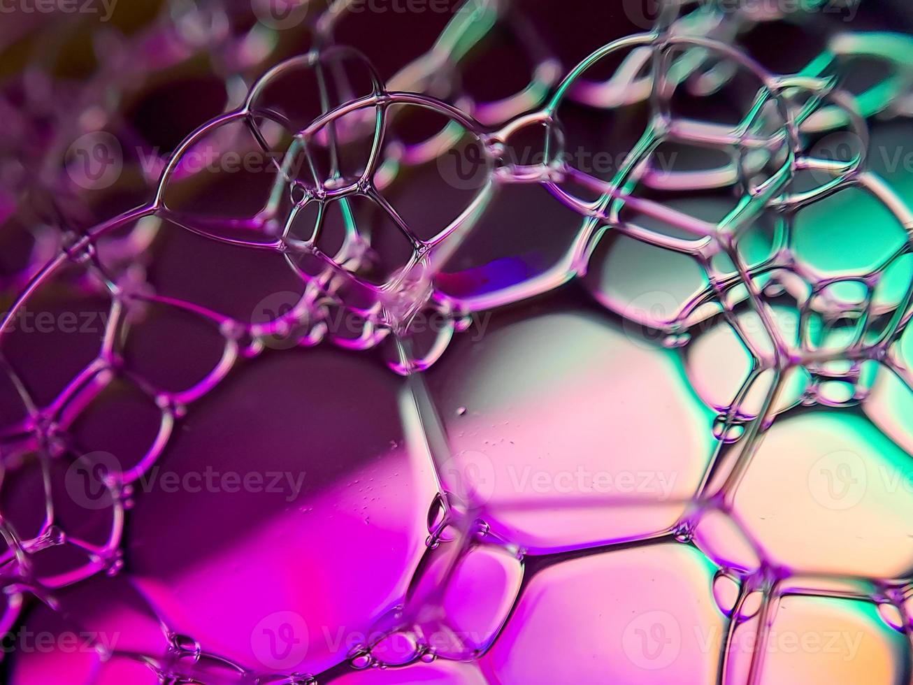 macro colorful soap bubbles gradient abstract background blue pink photo