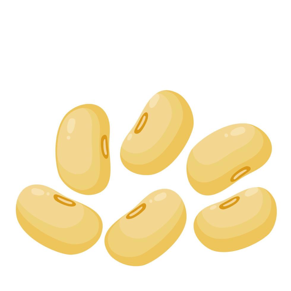 Set of yellow soybeans in flat vector. vector