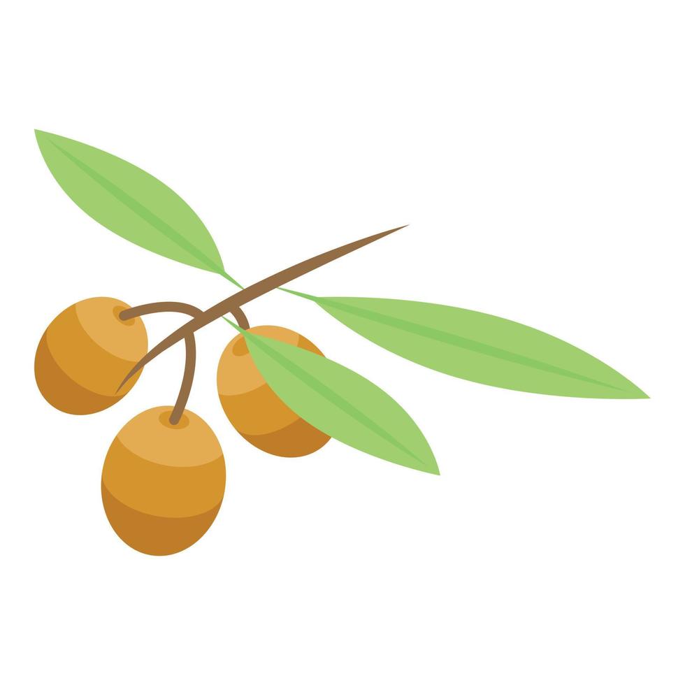 Gold olive branch icon, isometric style vector