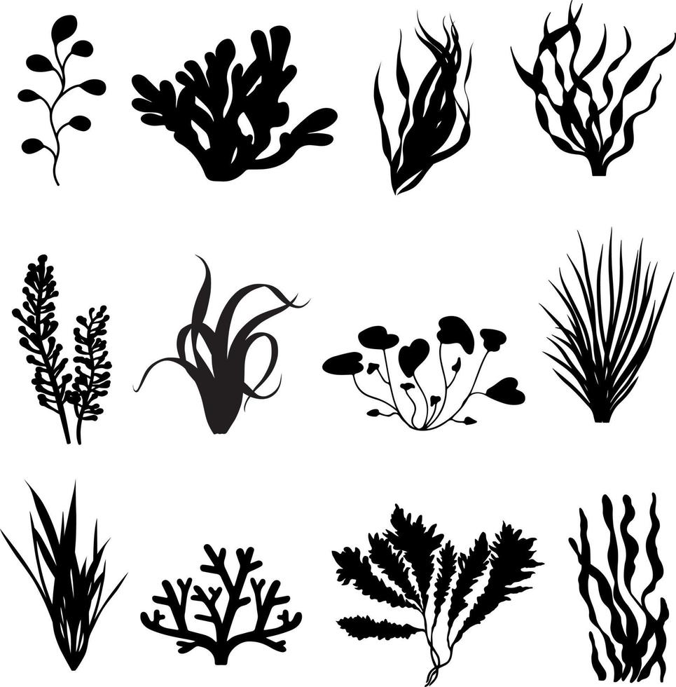 seaweed silhouette clip art vector