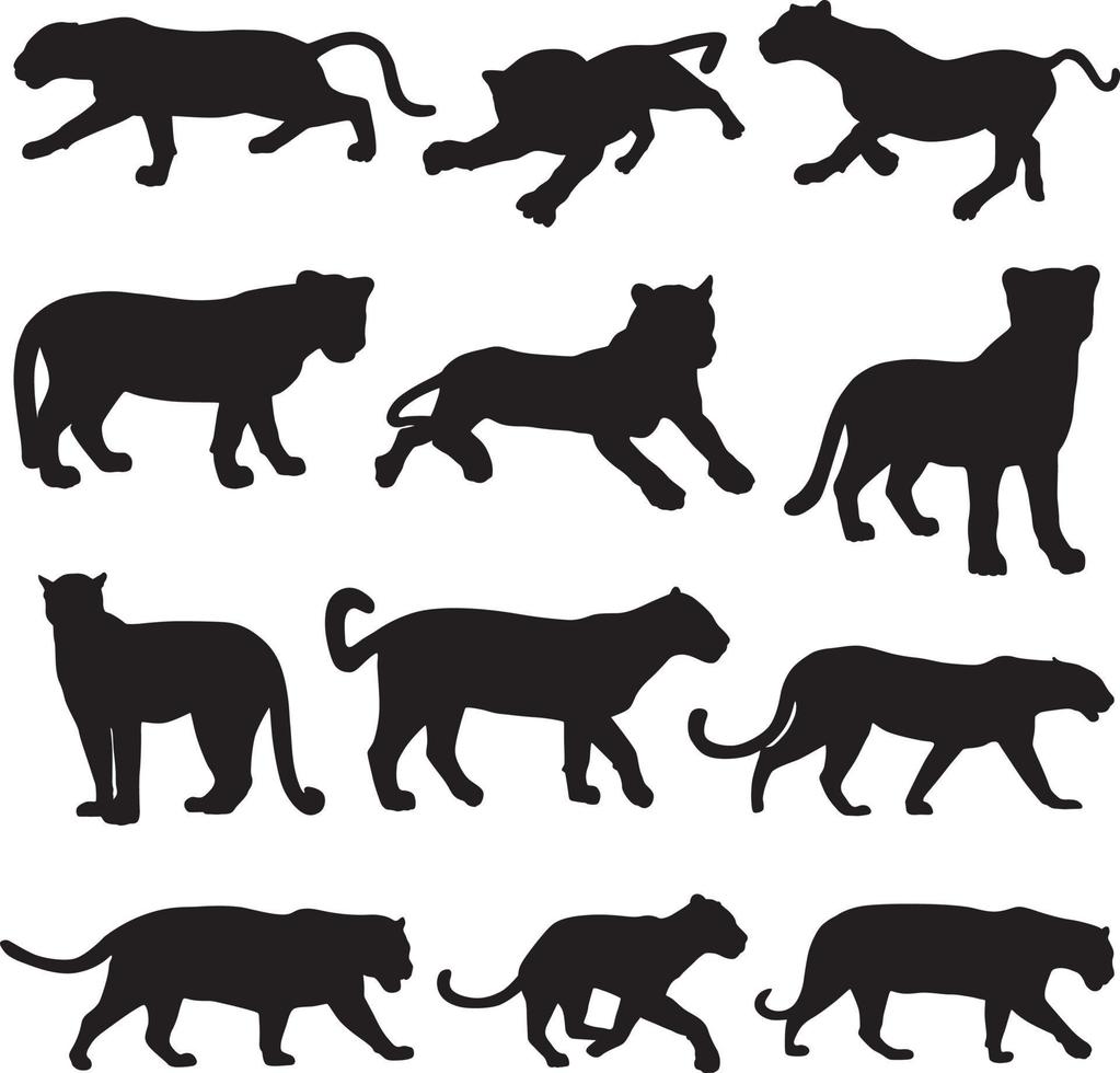 jaguar animal silhouette vector