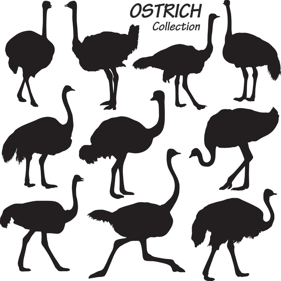 ostrich silhouette set vector