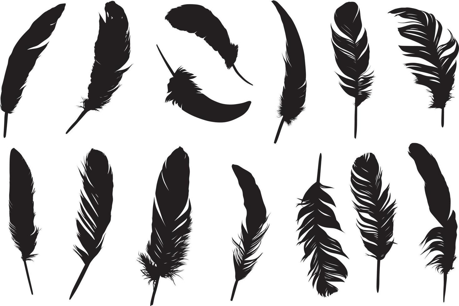 Feather bird animal clip art silhouette vector