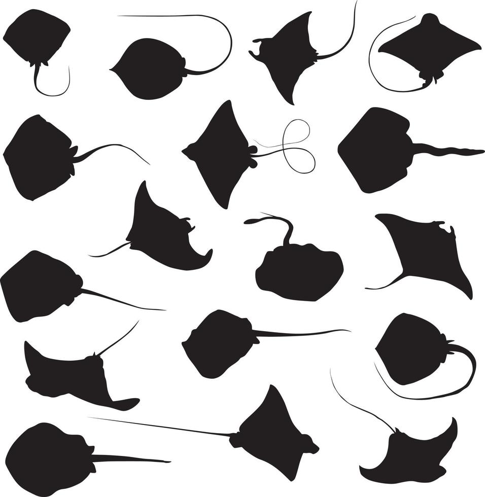 stingray silhouette set vector