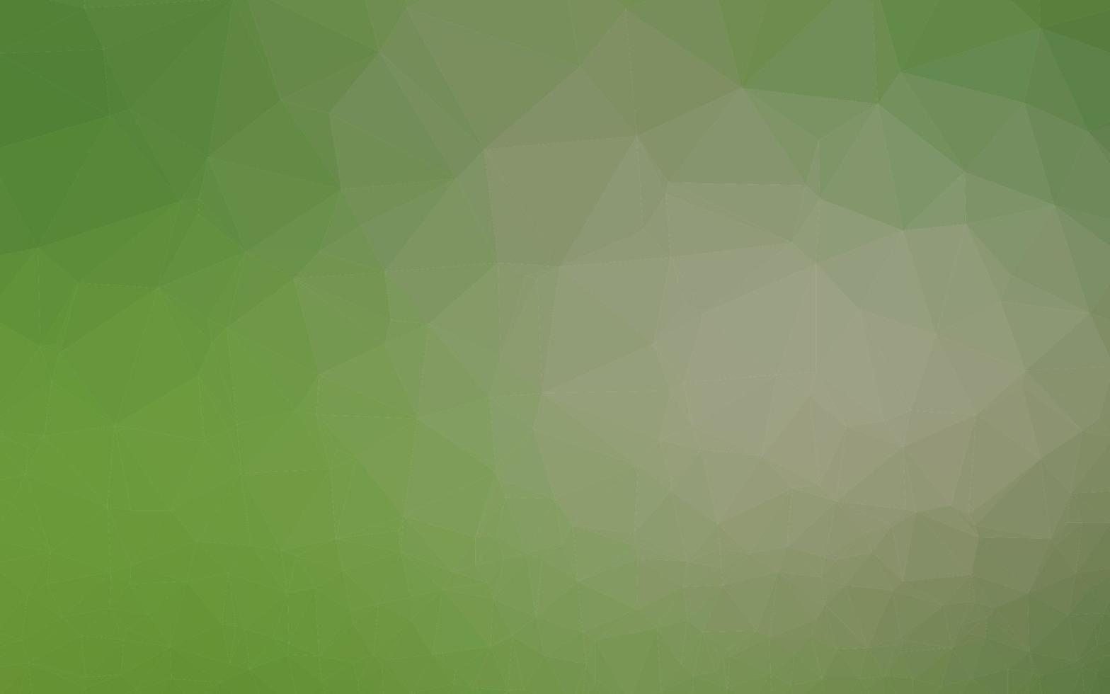 Light Green vector polygonal template.