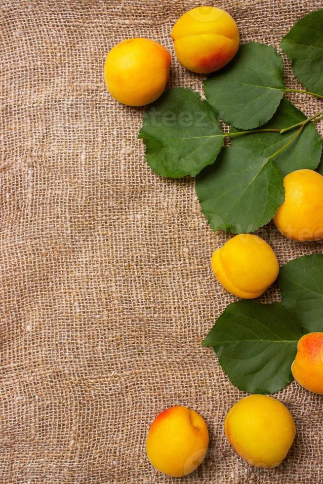 apricots in a bowl on sacking background. photo