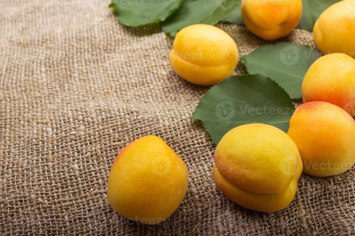 apricots in a bowl on sacking background. photo