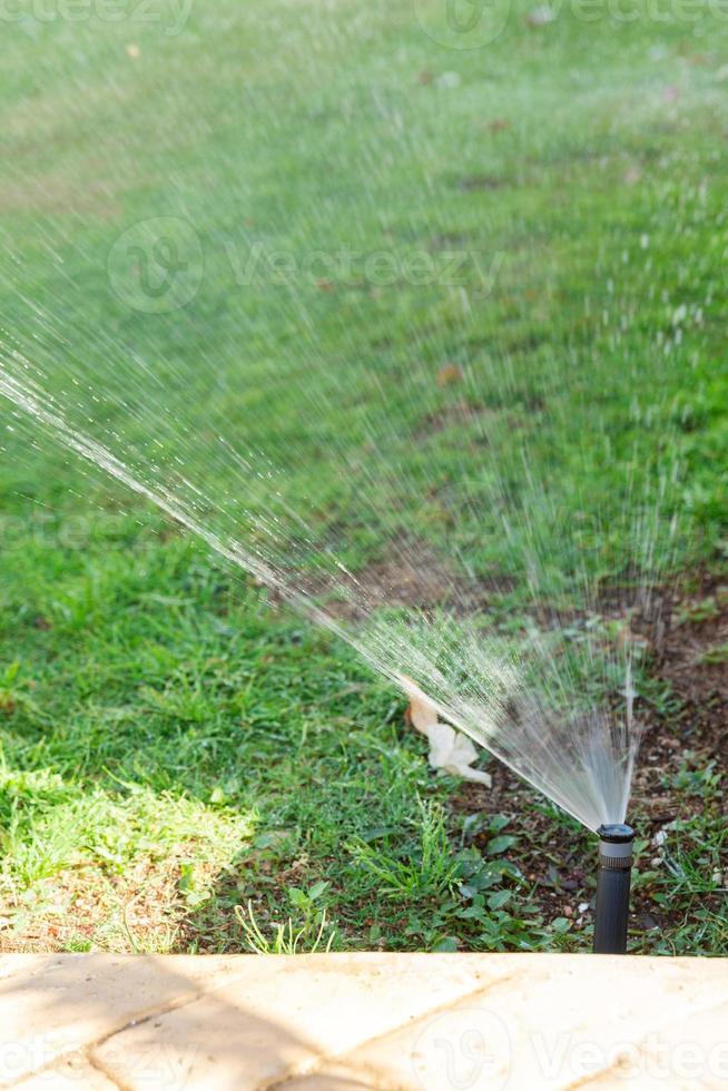 Sprinkler in garden watering the lawn. Automatic watering lawns concept photo