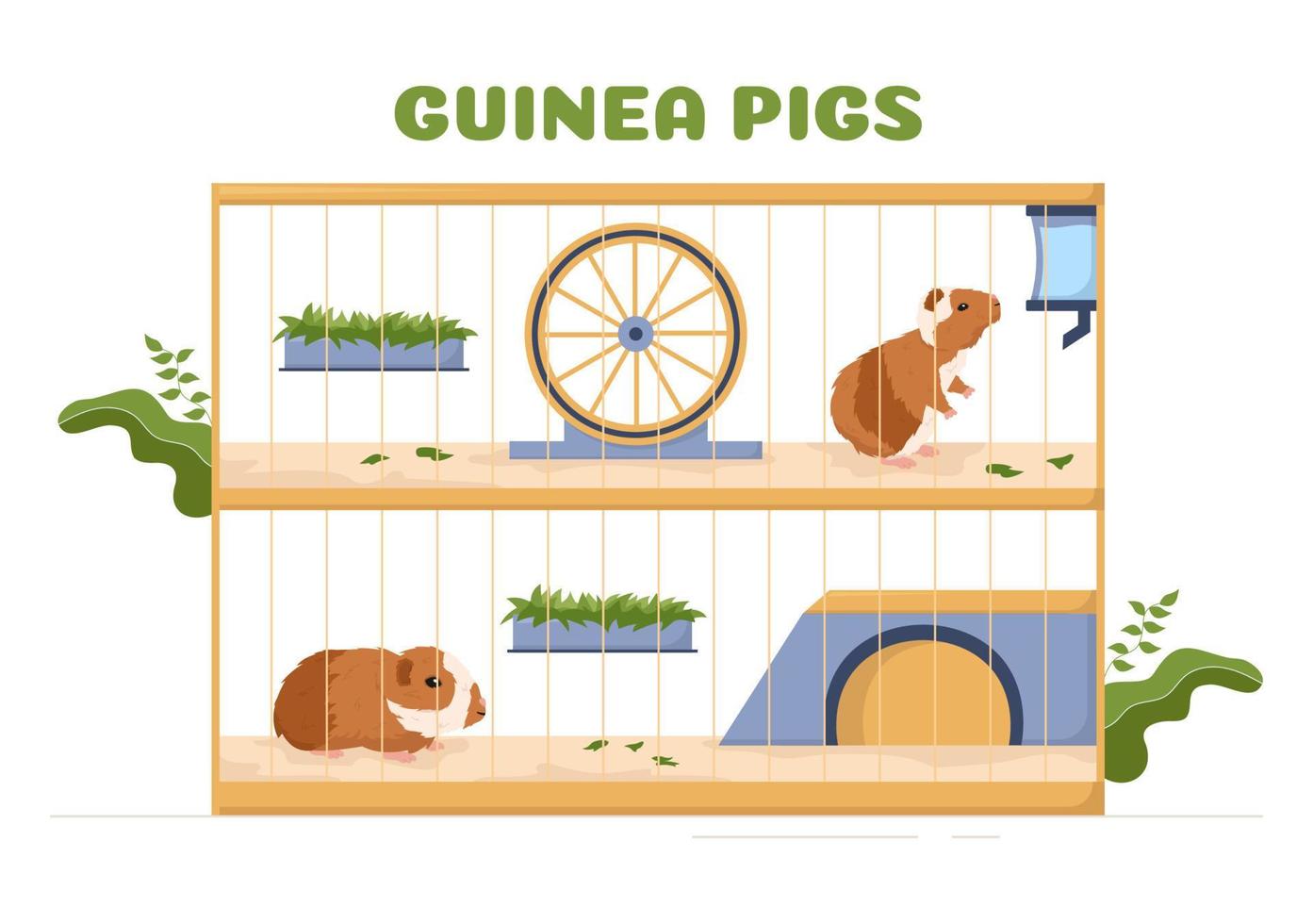 Guinea Pig Pets Hamsters Animals Breeds Suitable for Poster or Greeting Card in Flat Cute Cartoon Hand Drawn Templates Illustration vector