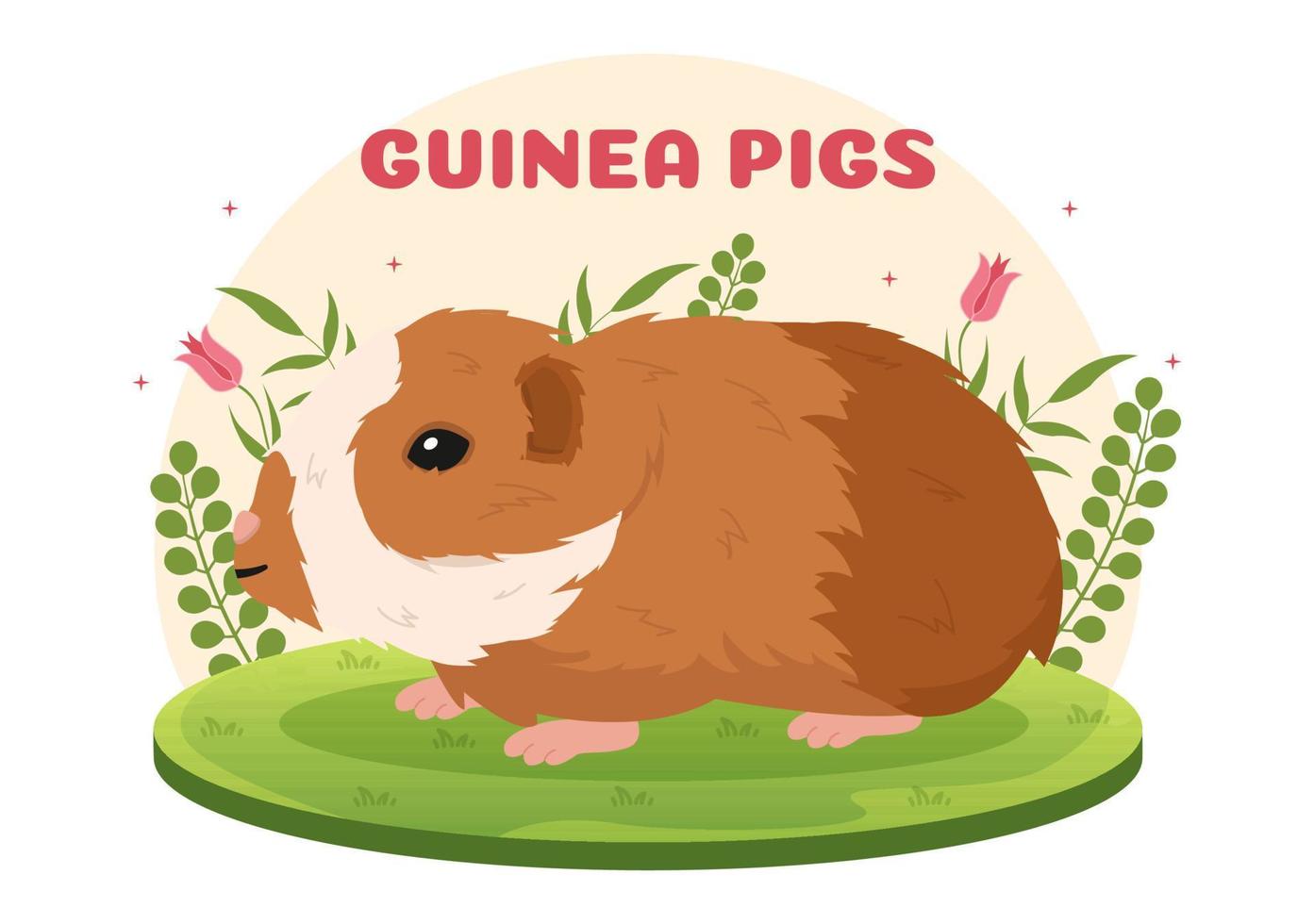 conejillo de indias mascotas hámsters animales razas adecuadas para póster o tarjeta de felicitación en dibujos animados lindos planos dibujados a mano plantillas ilustración vector