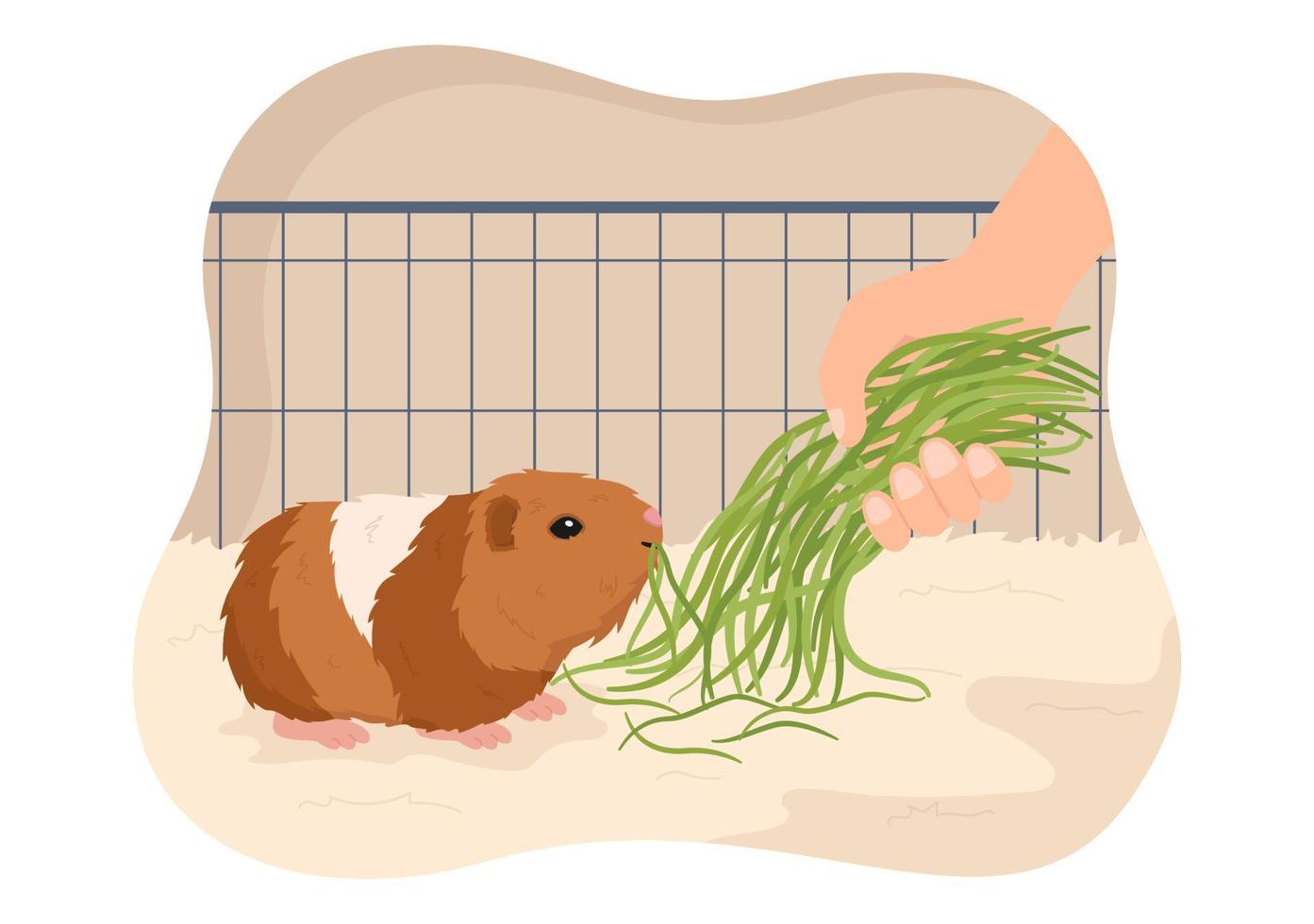 Guinea Pig Pets Hamsters Animals Breeds Suitable for Poster or Greeting Card in Flat Cute Cartoon Hand Drawn Templates Illustration vector
