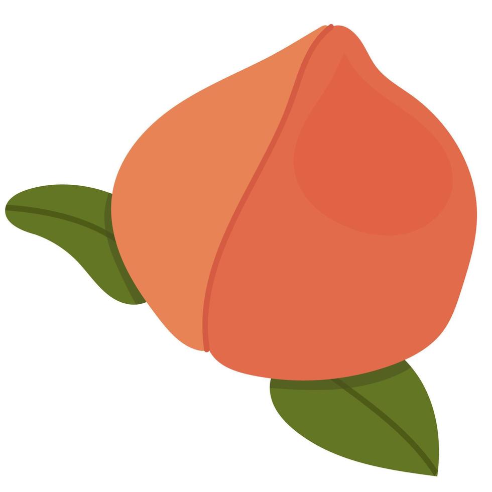 Peach Nerikiri - Japanese Sweet Bean Paste Confectionery.Vector hand draw vector
