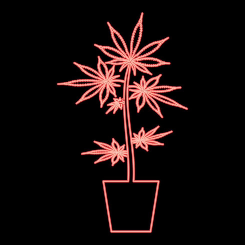 Neon pot of marijuana Cannabic in pot Hemp red color vector illustration image flat style
