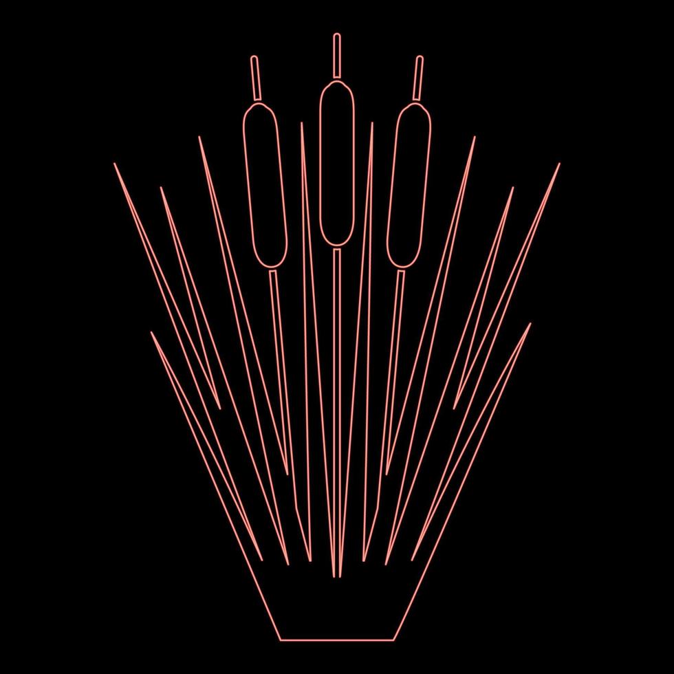 Neon reed Bulrush Reeds Club-rush ling Cane rush red color vector illustration image flat style