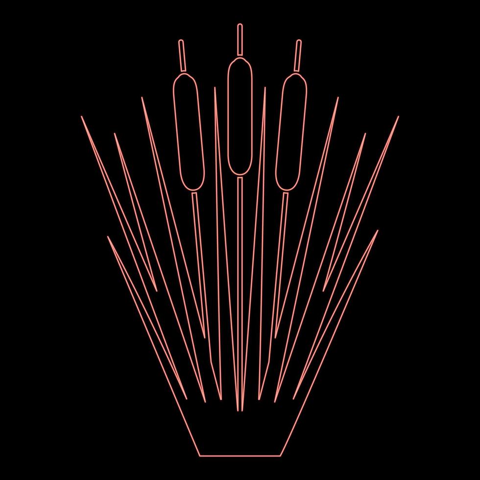 Neon reed Bulrush Reeds Club-rush ling Cane rush red color vector illustration image flat style