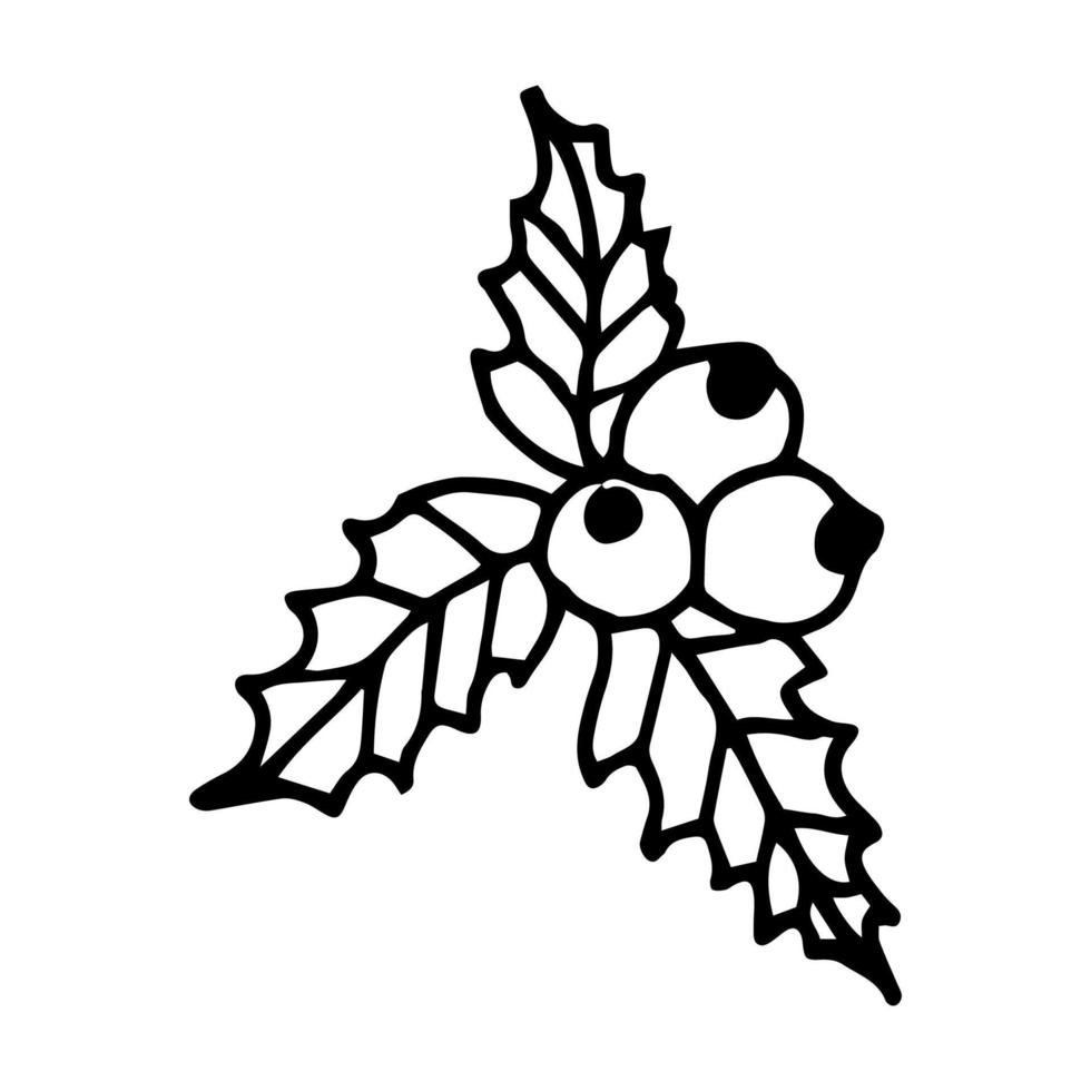 Hand-drawn holly in the style of a doodle. vector illustration