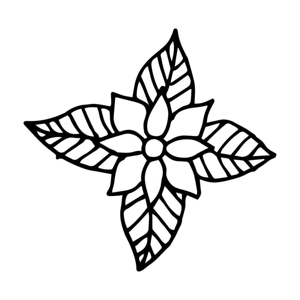 Poinsettia flower drawn by hand in the style of a doodle. vector illustration