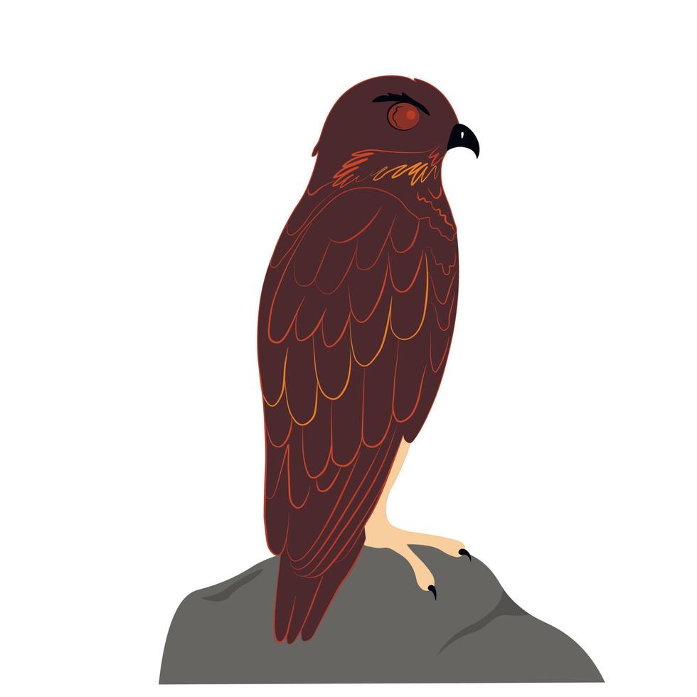 Falcon vector stock illustration. Hawk. Bird close-up sitting. Isolated on a white background.