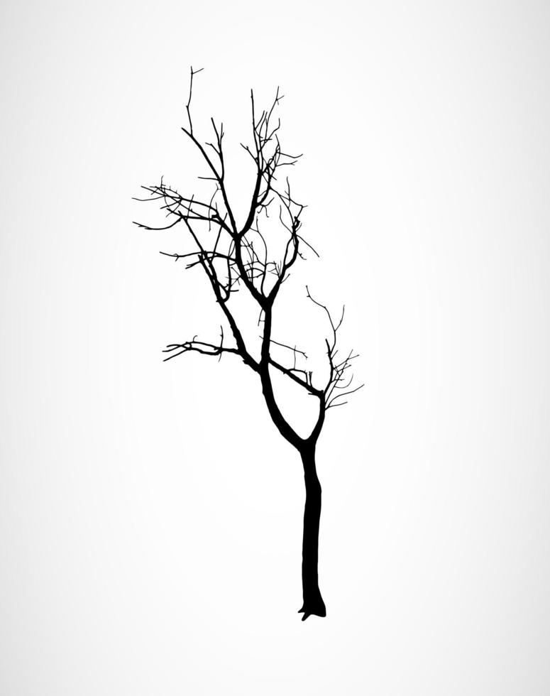 vector black silhouette of dry tree without leafs. Single dead tree on a white background