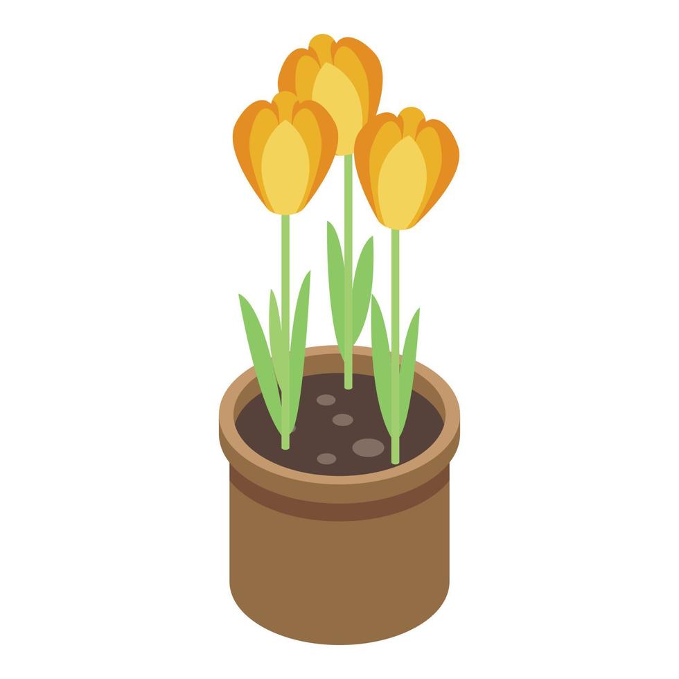 Pot crocus icon, isometric style vector