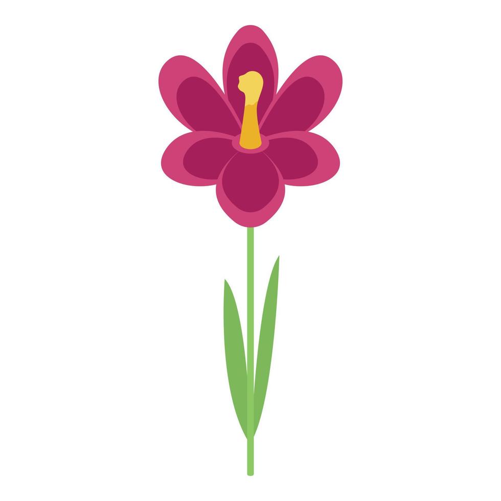Crocus flower icon, isometric style vector