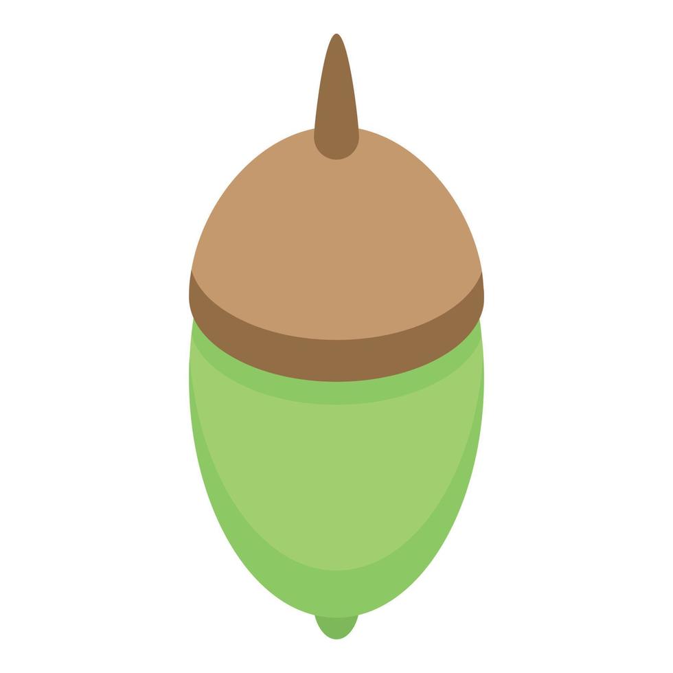 Green acorn icon, isometric style vector