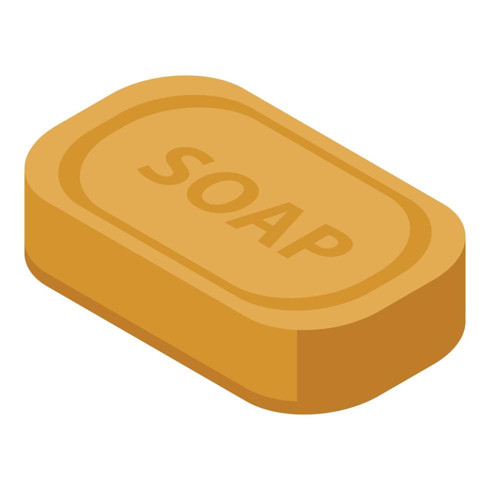 Home soap icon, isometric style vector