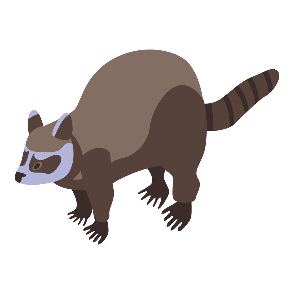 Brown raccoon icon, isometric style vector