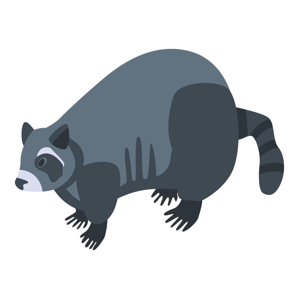 Fat raccoon icon, isometric style vector